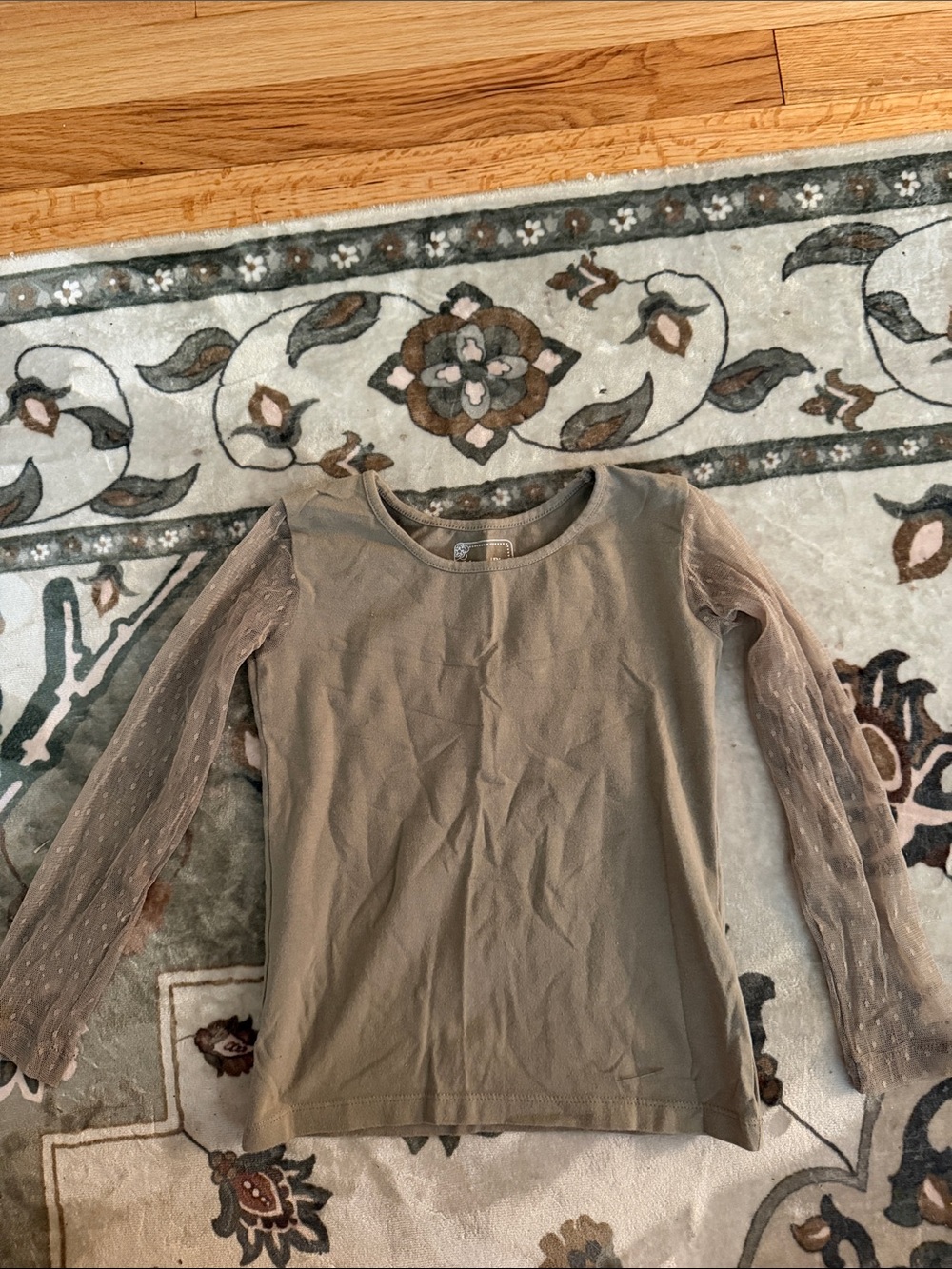 Mustard Pie Taupe Long Sleeve Top with Sheer Dot Sleeves